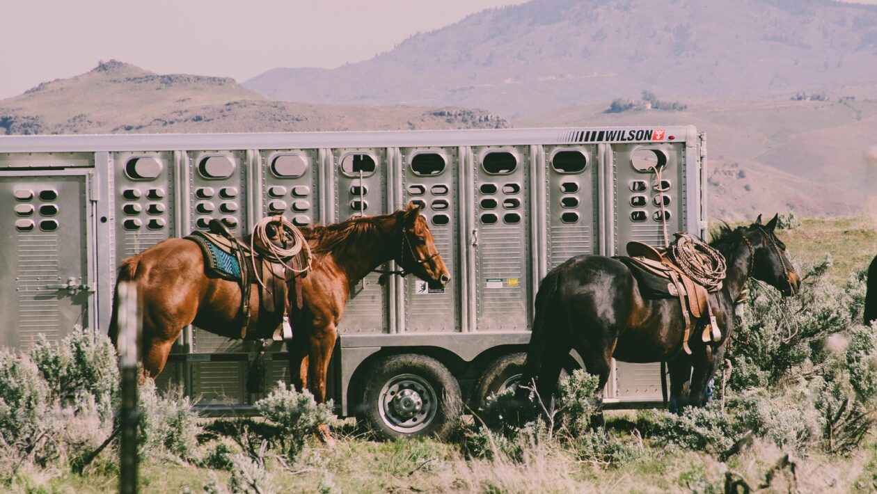 Etiketa: Etiketa a protokol v medzinárodnom prostredí